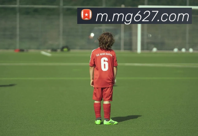 MG冰球突破服务体系